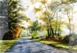 66  Bill Scott  Morning Mist, Madresfield  Watercolour